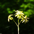 2014陽明山國家公園