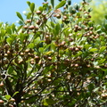 2020.09月-植物園