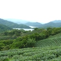 石碇永安村步道