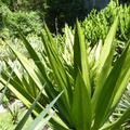 2020.09月-植物園