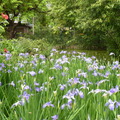 2024.04-06月.植物園