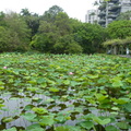 2024.04-06月.植物園