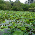 2024.04-06月.植物園