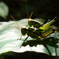 2014陽明山國家公園