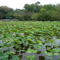 2024.04-06月.植物園