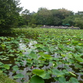 2024.04-06月.植物園