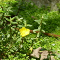 2020.09月-植物園