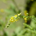 2020.09月-植物園