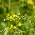 2020.09月-植物園