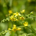 2020.09月-植物園