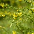 2020.09月-植物園