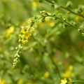 2020.09月-植物園