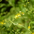 2020.09月-植物園