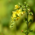 2020.09月-植物園