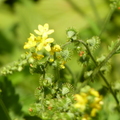 2020.09月-植物園