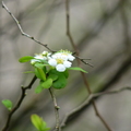 2014福山植物園