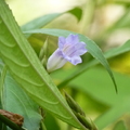 2023.11-12月.新生園區