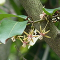 2024.04-06月.植物園