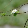 2014福山植物園