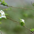 2014福山植物園