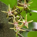 2024.04-06月.植物園