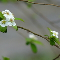 2014福山植物園