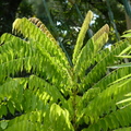 2020.09月-植物園