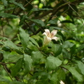 2024.04-06月.植物園