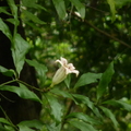 2024.04-06月.植物園