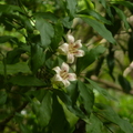 2024.04-06月.植物園