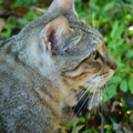 2020.2月.植物園