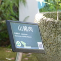 2020.09月-植物園