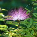 2020.2月.植物園