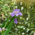 2024.04-06月.植物園