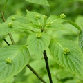 2014福山植物園