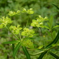 2024.04-06月.植物園