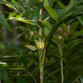 2020.09月-植物園