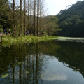 2015福山植物園