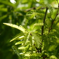 2020.2月.植物園