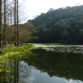 2015福山植物園