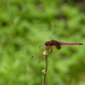 2024.04-06月.植物園