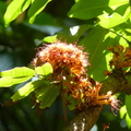 2024.04-06月.植物園