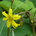 2024.04-06月.植物園