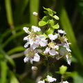 2024.04-06月.植物園