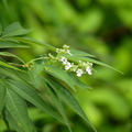 2019植物園(7-10月)