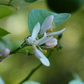 2020.2月.植物園