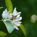 2020.2月.植物園