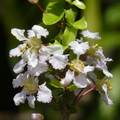 2024.04-06月.植物園