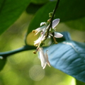 2020.2月.植物園