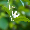 2020.2月.植物園